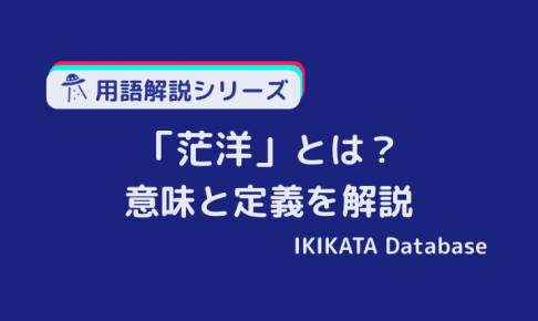 【例文あり】茫洋／芒洋の意味とは？使い方と類語を簡単に解説！